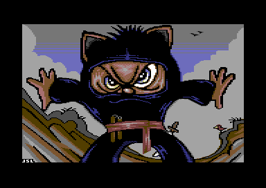 Ninja Cat