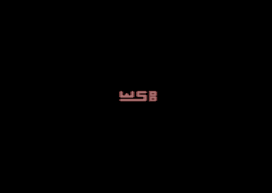 Big Logo - WSB Logo