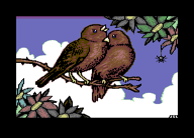 Lovebirds 3