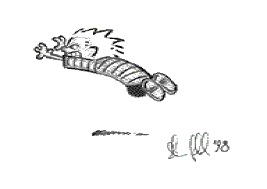 Calvin and Hobbes Picture #01