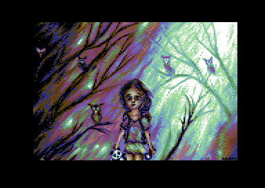 Lost in the Forest of Owls