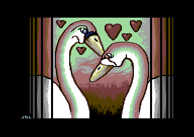 Swan Love
