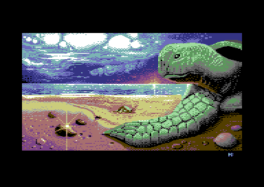 Turtle on the Coast