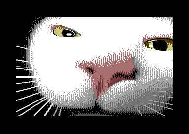 Mun Mirri (My Pussy)