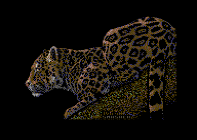 Pussy-Cat
