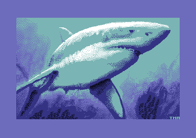 Shark