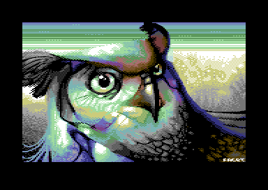 Mister Owl
