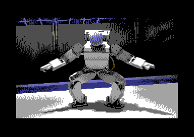 FLT Dataninja 2