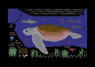Turtle