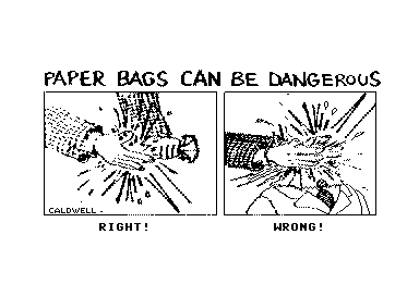 Bag Safety