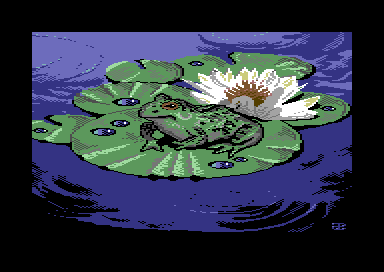 Frog Lilly Pad