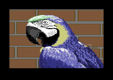 Parrot
