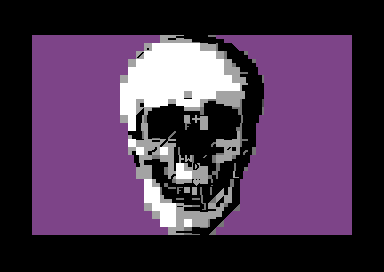 Skull