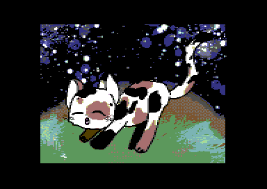 Calico Cat