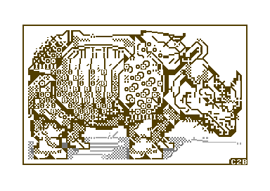 Dürer's Rhinoceros
