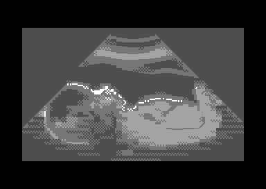 Aaargh! Condom