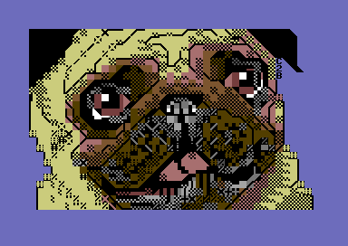 Drooling Pug