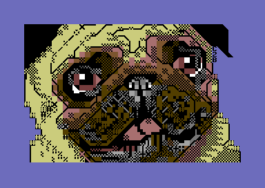 Drooling Pug