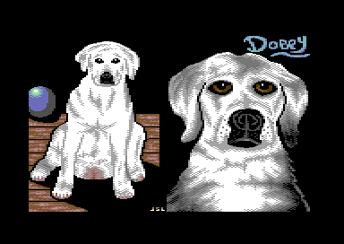 Dobey