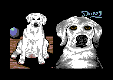 Dobey