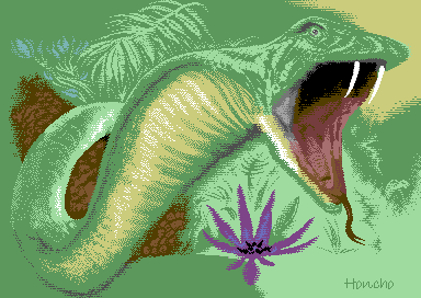 Jungle Fever