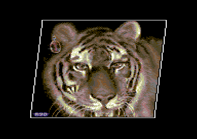 The Tiger