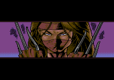 Warrior's Face
