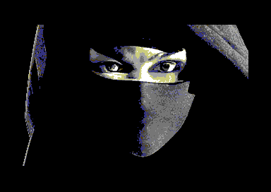 Canva AI Ninja