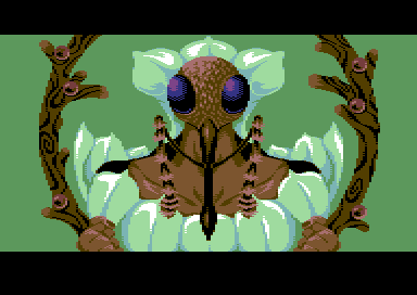 Weevil Entity
