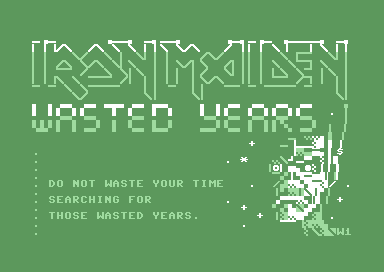Wasted Years