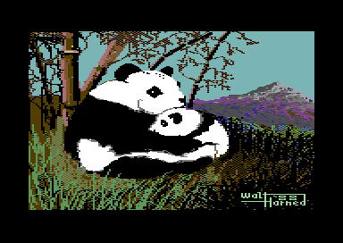 Pandas