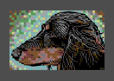 Portrait of Pitko