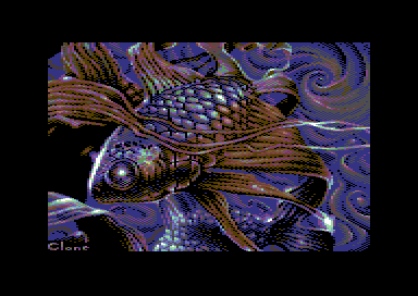 Fish