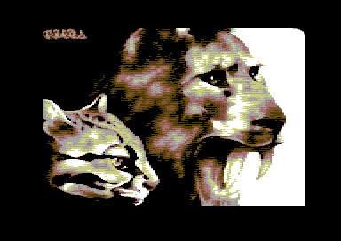 I Prefer Cats