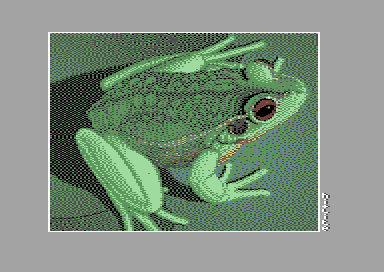 Frog