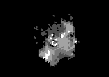 Pattern Djinn