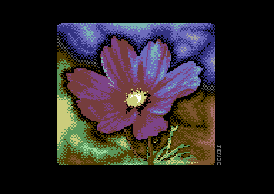 Flowertime95%