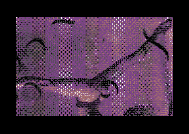 7Teens