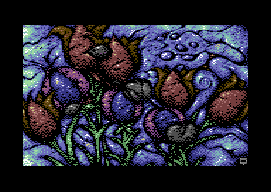 Flowers and We Rock