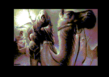 Wanderer
