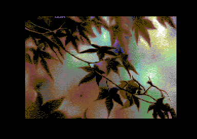 Last Leaf Falls