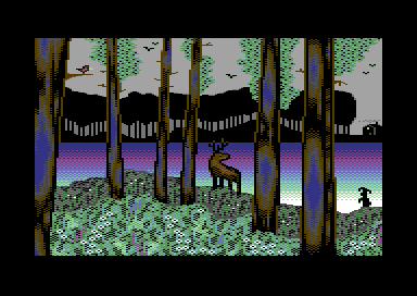 Forest