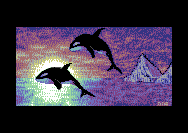 Whales