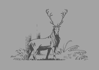 Imagine - Deer