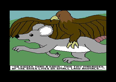 T.H.E. Fox December 1989 (Part 1) - Pic 2