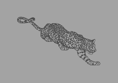 Shampulse - Cheetah