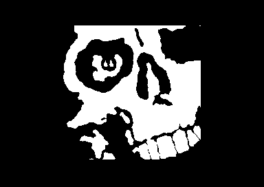 Stupidity III - Skull