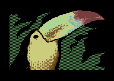 Warblers - Toucan