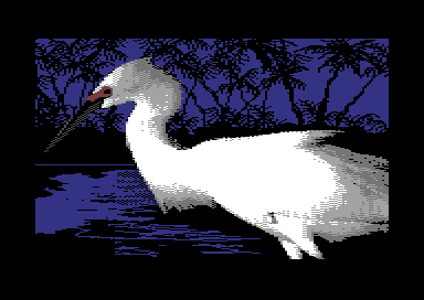 Warblers - Snowy Egret