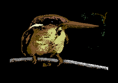 Warblers - Rufous Backed Kingfisher